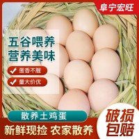 正宗農村土雞蛋整箱雞蛋新鮮柴雞蛋農家散養(yǎng)草雞蛋